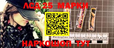 индика Будённовск