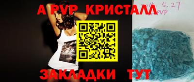 индика Будённовск