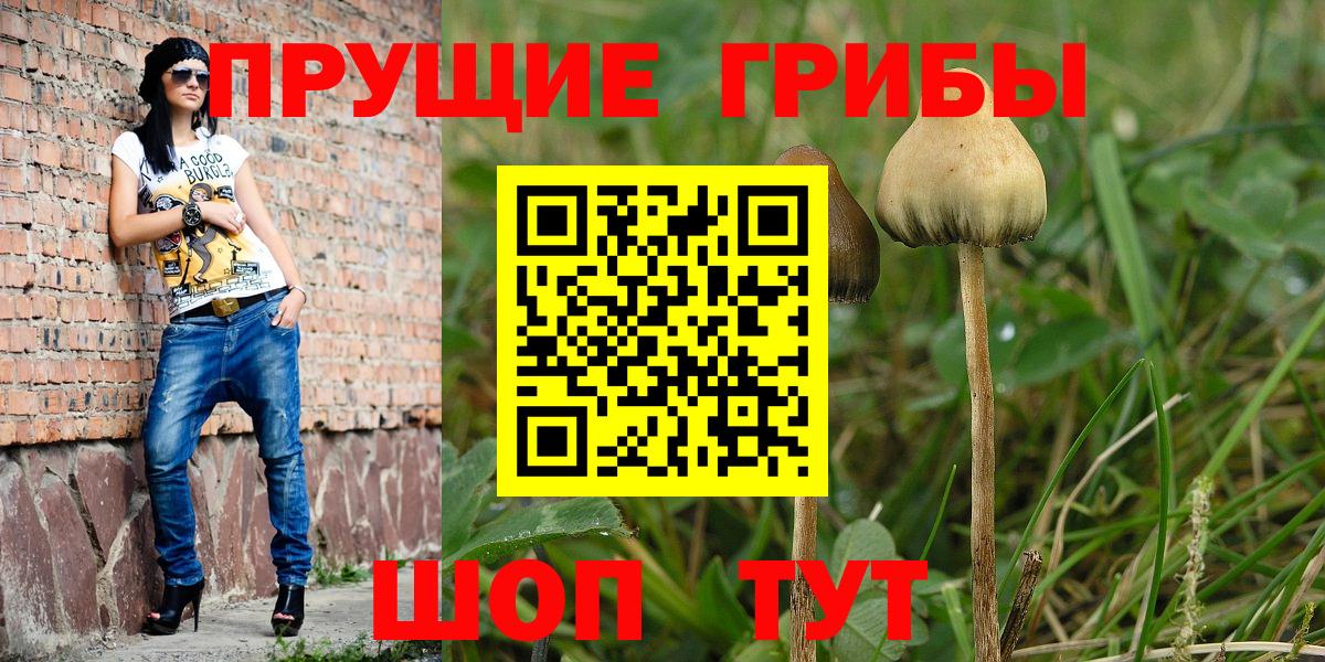 Псилоцибиновые грибы прущие грибы  Галлюциногенные грибы Magic Shrooms  Лосино-Петровский  Вход с VPN 